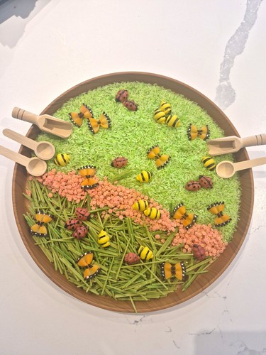 Minibeasts tactile sensory toy - minibeasts,